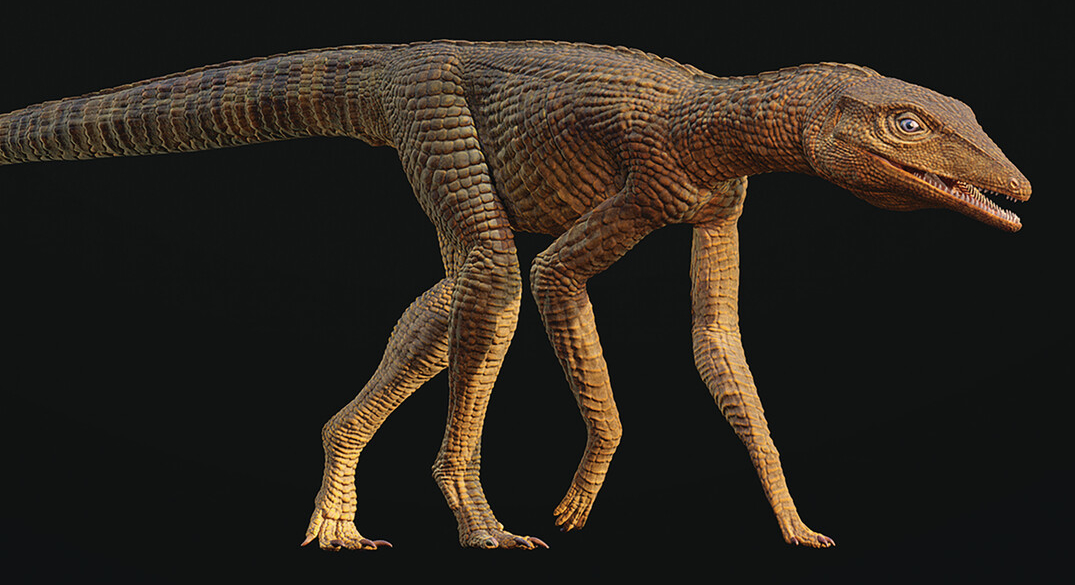 Galahadosuchus jonesi (Matt Dempsey).